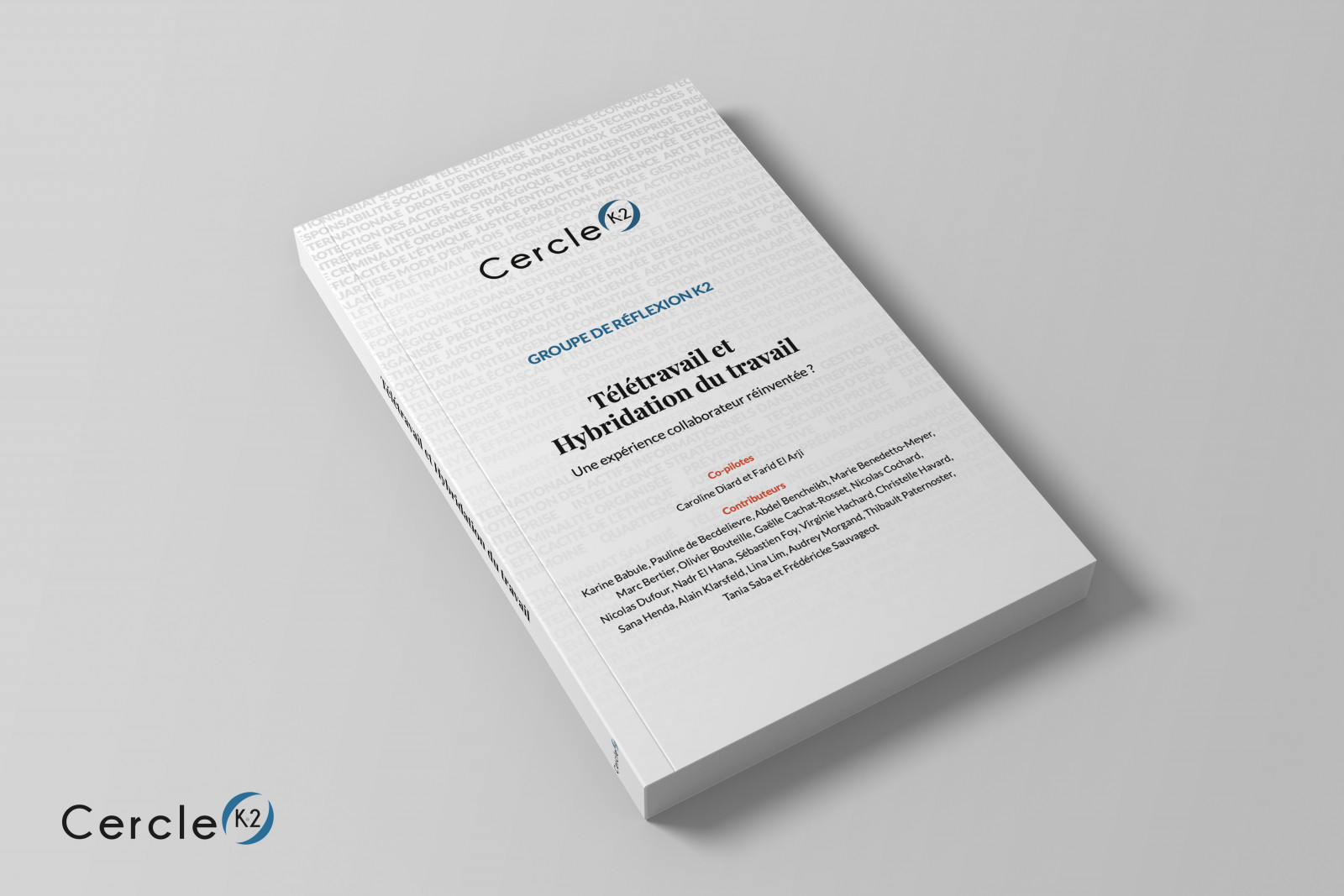 TT-&-Hybridation---2---Couverture-biais-large