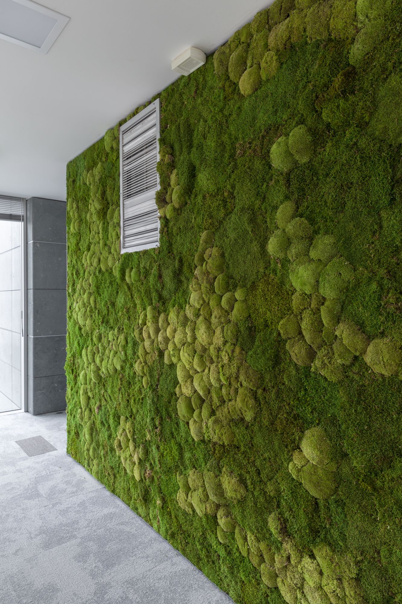 BMS - V&eacute;g&eacute;tal