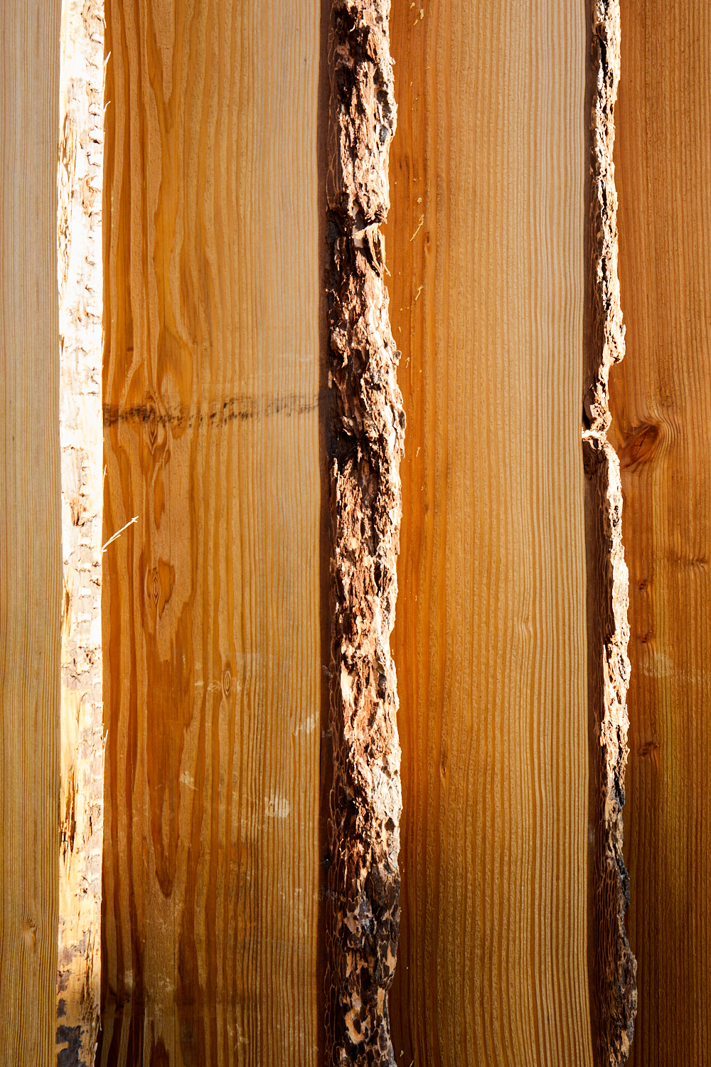 &copy;Kardham_Campus Orange Balma